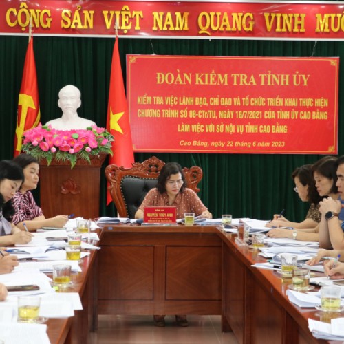 Trưởng Ban Tổ chức Tỉnh ủy Nguyễn Thúy Anh phát biểu kết luận buổi kiểm tra.