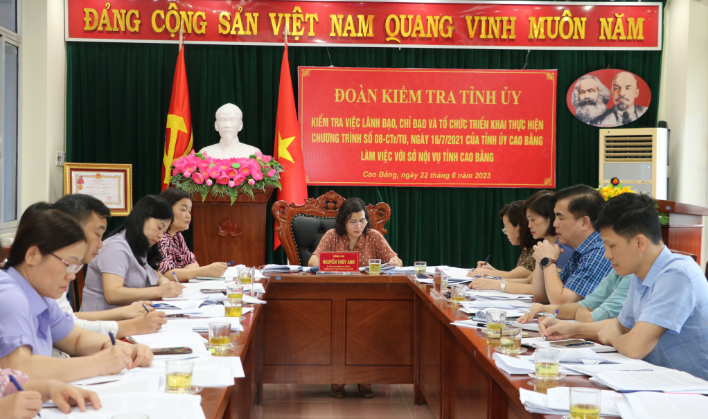 Trưởng Ban Tổ chức Tỉnh ủy Nguyễn Thúy Anh phát biểu kết luận buổi kiểm tra.